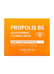 Some By Mi Propolis B5 Glow Barrier Calming Cream, 60gm