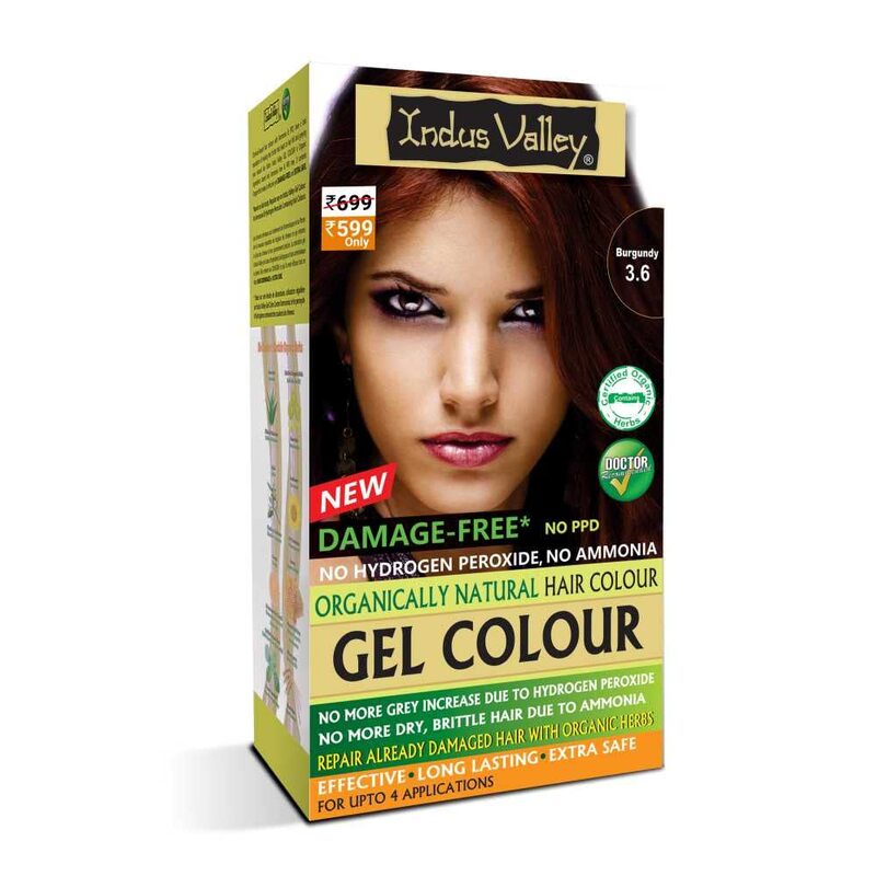 Indus Valley Natural Organic Halal Damage Free Gel Hair Colour for Grey Coverage Hair, Burgundy