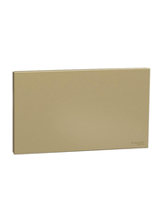 Schneider Electric Avataron C Blank Plate, 2 Gang, E8730TX_WG, Wine Gold