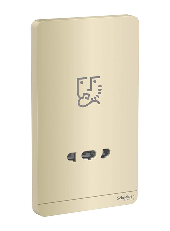 Schneider Electric AvatarOn Gold Shaver Socket 115-230 V, Gold