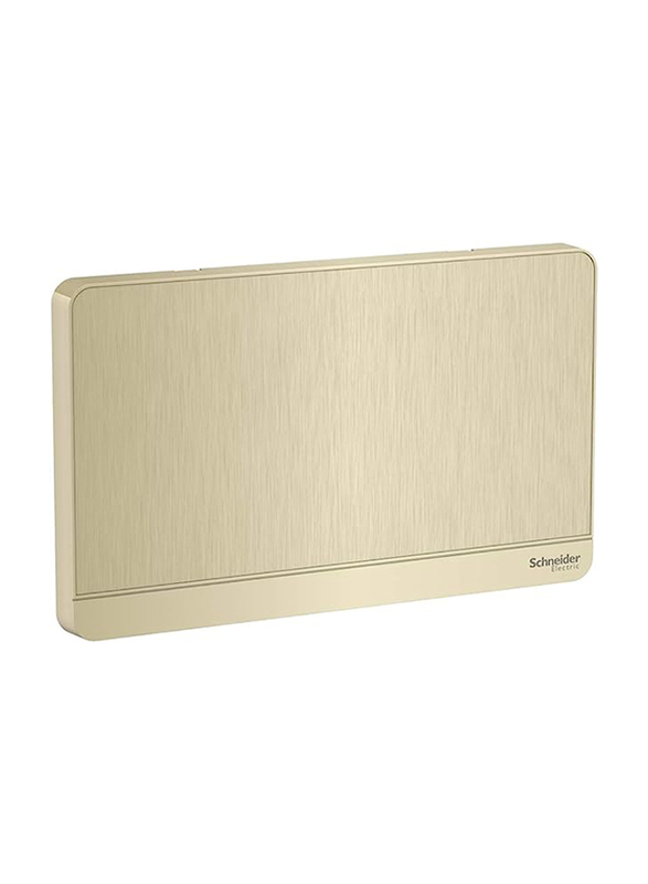 Schneider Electric Avatar On 2 Gang Blank Plate Wall Cover, E8330TX_GH, Metal Gold Hairline