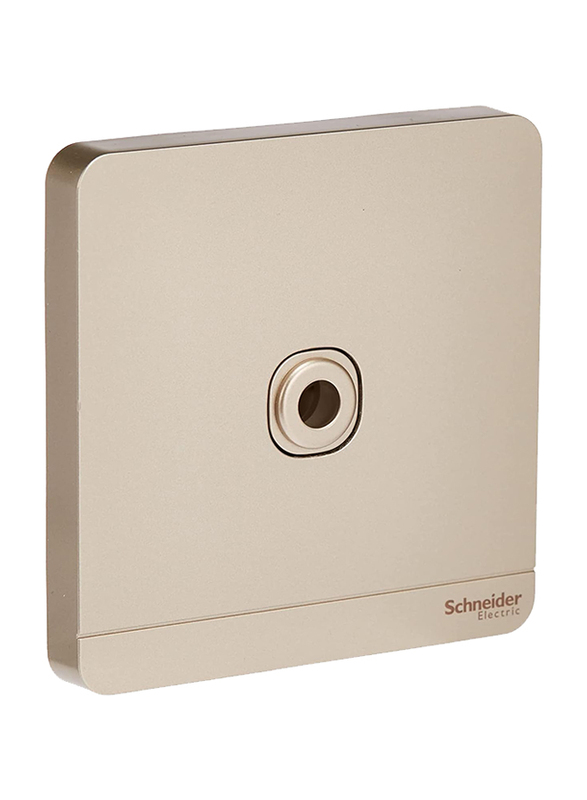 Schneider Electric 25A 250V AvatarOn Connection Unit, Gold