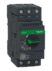 Schneider Electric TeSys GV3 Motor Circuit Breaker, GV3P65, Grey