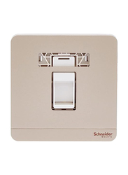 Schneider Electric Avatar On 1 Gang Keystone Wallplate With Shutter Without Ketstone Jack Rj-45, E8331RJS_WG, Gold