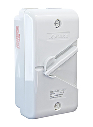 Rexton Weather-proof Isolator, IS300 20A 2 Pole IP66, White