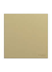 Schneider Electric Avataron C Blank Plate, 1 Gang, E8730X_WG, Wine Gold