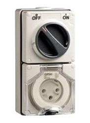 Schneider Single Pole 3 Pin Switch Socket Outlet, 250 V, 56C315RP, White