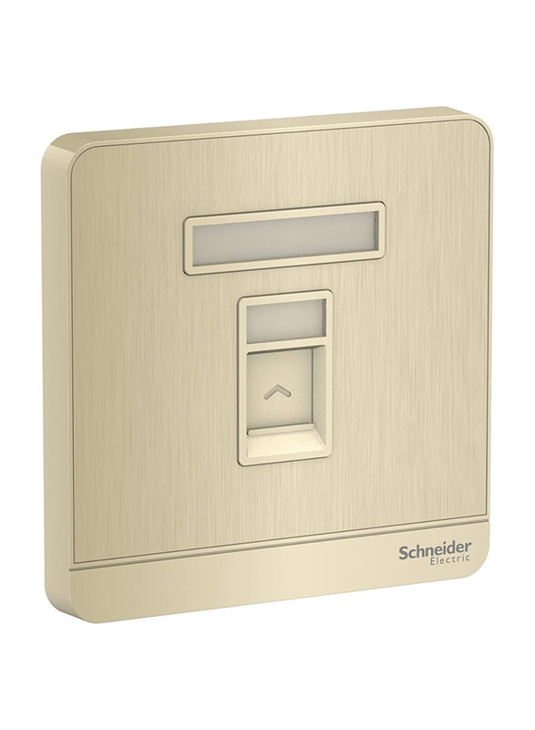 

Schneider Electric Avatar On 1 Gang Wall Plate, E8331RJS_GH, Gold Hairline