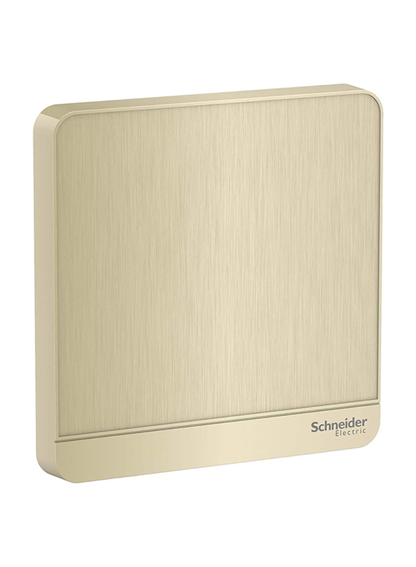 Schneider Electric Avataron E8330X GH Metal Gold Hairline Wall Cover 1 Gang Blank Plate, Gold