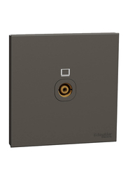 Schneider Electric Avataron C TV Socket, Ip20, 75 Ohm, E8731TV_DG, Dark Grey