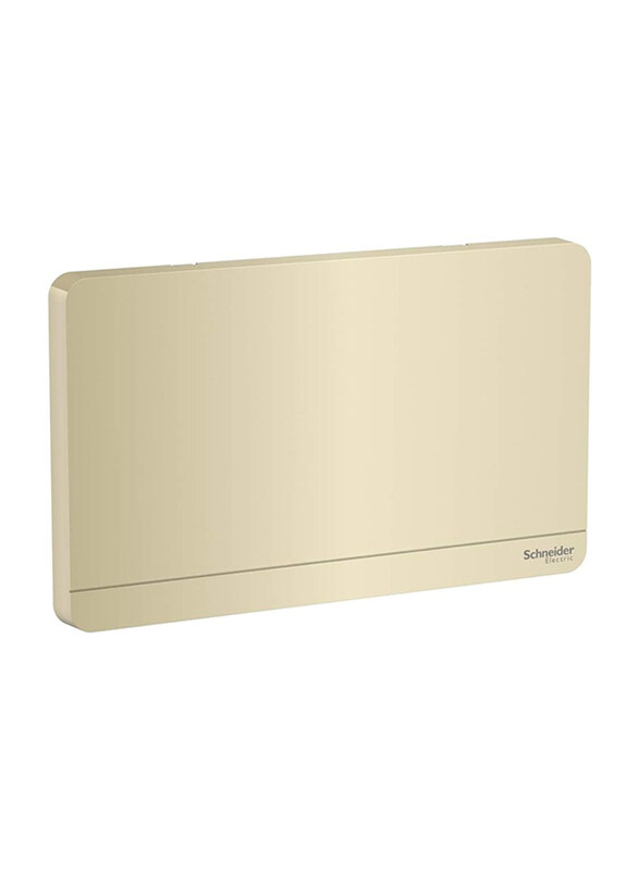 

Schneider Electric AvatarOn 2 Gang Blank Plate Wall Cover, E8330TxWG, Wine Gold