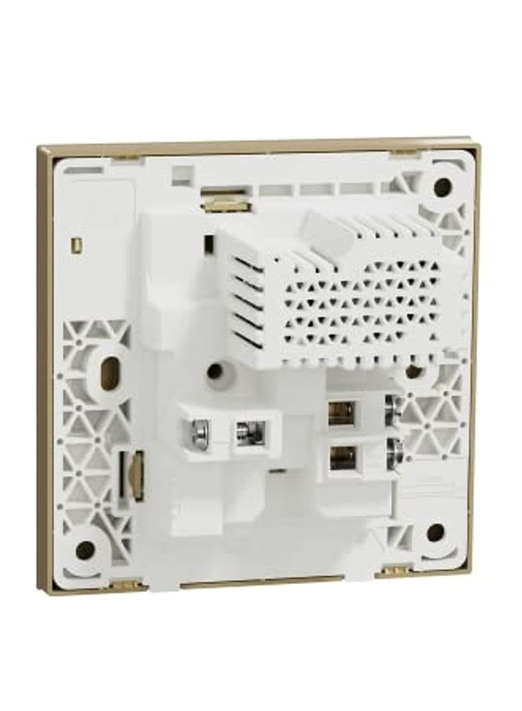 Schneider Electric Avataron C Switch Socket with Two Port USB, 1 Gang, 13A 2.1A, E8715USB_WG, Wine Gold