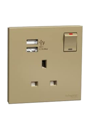 Schneider Electric Avataron C Switch Socket with Two Port USB, 1 Gang, 13A 2.1A, E8715USB_WG, Wine Gold