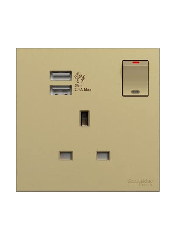 Schneider Electric Avataron C Switch Socket with Two Port USB, 1 Gang, 13A 2.1A, E8715USB_WG, Wine Gold