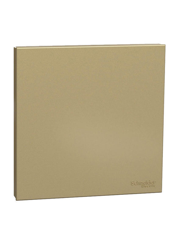 Schneider Electric Avataron C Blank Plate, 1 Gang, E8730X_WG, Wine Gold