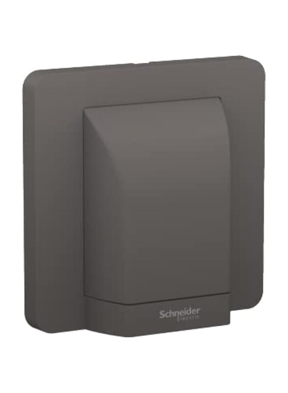 

Schneider Electric Avatar On 1 Gang Fuse Connection, E83554_DG, Dark Grey