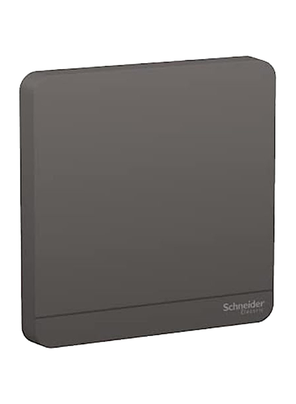 Schneider Electric Avatar On 1 Gang Blank Plate, E8330X_DG, Dark Grey