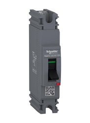 Schneider Electric EasyPact EZC100H Circuit Breaker, EZC100H1020, Grey