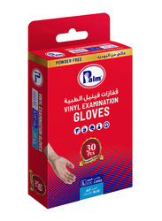 Palm Disposable Vinyl Powder Free Gloves, Large, 30 Piece, Blue