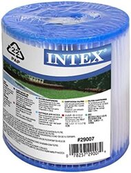 Intex H Filter Cartridge, 29007, Multicolour