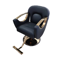 Hair Styling Chair Black Gold Handle