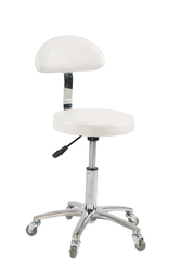 Salon Stool Chair with Back Rest White