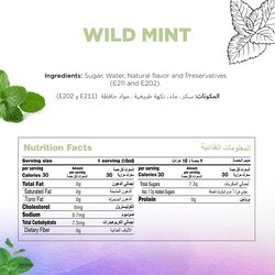 Just Chill Drinks Co. Wild Mint Fruit Syrup, 1 Litre