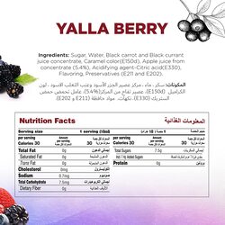 Just Chill Drinks Co. Yalla Berry Fruit Syrup, 1 Litre