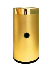 Bukhoor New Style Portable USB Type-C Power Rechargeable Electric Car Incense Burner, Gold