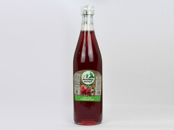 Pomegranate Syrup 500 ml