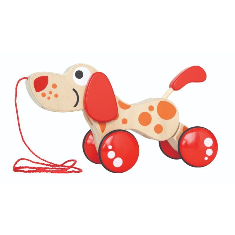 Walk A Long Puppy Toy, Multicolour