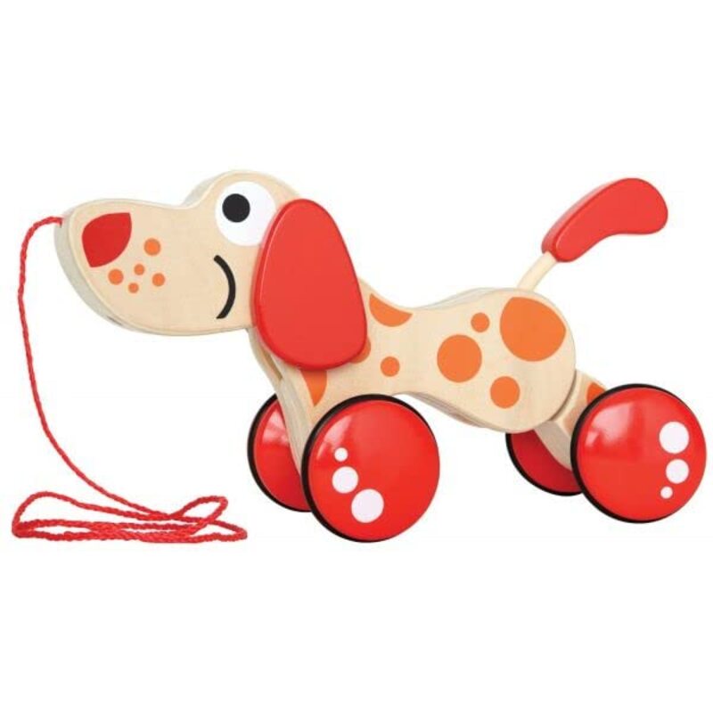 Walk A Long Puppy Toy, Multicolour