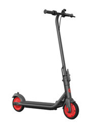 Segway C20 Ninebot Kick Scooter, Grey