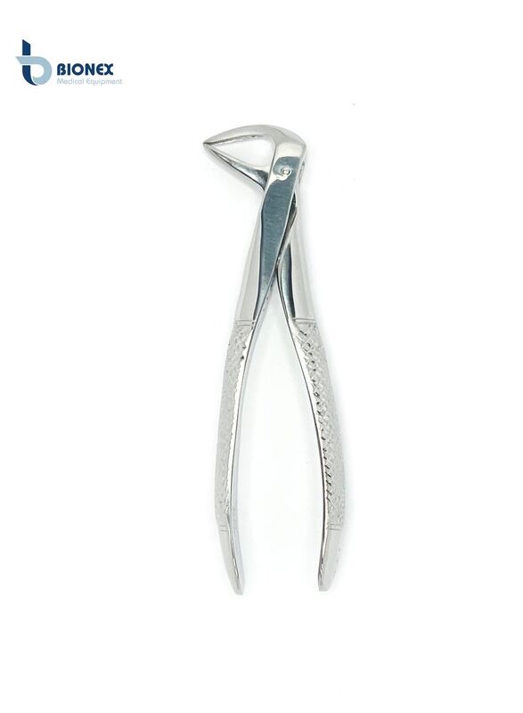 Bionex Medical Grade Cow horn Right Tooth Extraction Forceps, Silver