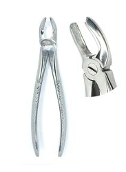 Crown Extracting Roots Forceps Upper Central Molar, Silver