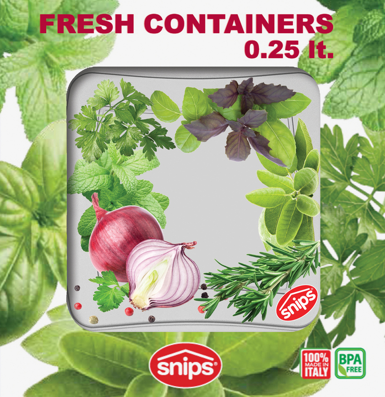 Snips 3 Pieces Fresh Square Container 250 ml Set