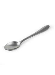 Stainless Steel Tea Spoon 13 cm