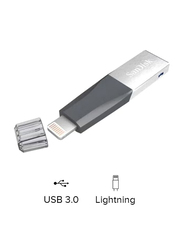 SanDisk 256GB iXpand Mini USB Flash Drive, SDIX40N, Silver/Black