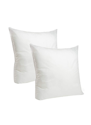 Foamily Throw Pillows Insert Set, 2 Inserts, 22 x 22cm, White