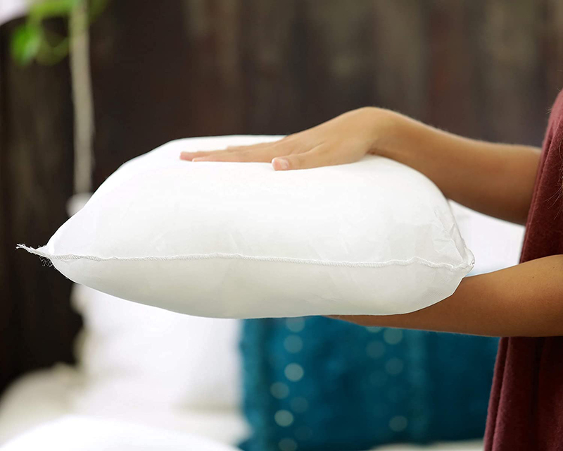 Foamily Throw Pillows Insert Set, 2 Inserts, 22 x 22cm, White