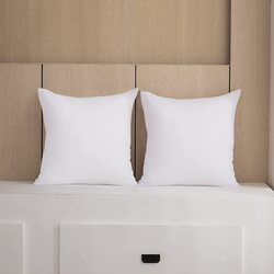 Home Liwa Decorative Throw Pillow Inserts, 2 Pillows, 45 x 45cm, White