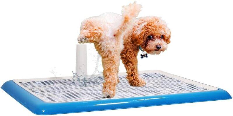 

MAJIBAO Dog pee pad holder, Indoor and Outdoor training toilet for medium and large dogs, keep Paws dry And floor clean, Dog potty tray with standing post (Bl
