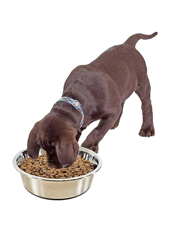 Majibao 21cm Stainless Steel Pet Food Feeder Bowl for Cats & Dogs, Medium, Silver