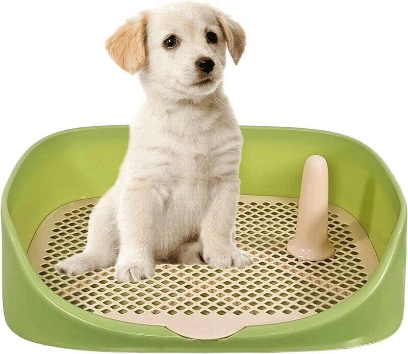 

MAJIBAO Dog Potty Tray Seat, Dog Toilet Training, Dog Pee Training Seat, Washable & Easy To Clean, Keep Paws and Floor Clean, Indoor & Outdoor, Portable, Gree