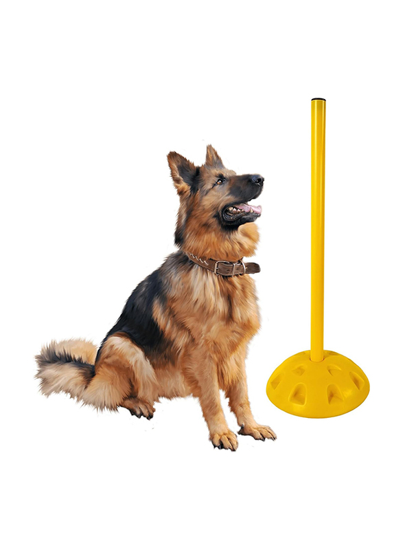 Majibao Obstacle Agility Training Starter Tool for Dogs, 50cm, Yellow