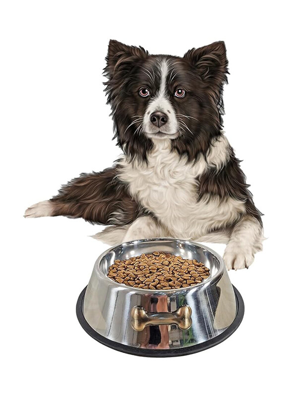 

Majibao 18cm Stainless Steel Round Shaped Food Bowl for Cats & Dogs, Silver