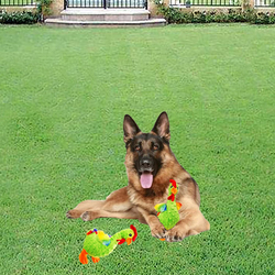 Majibao Chicken Non-Toxic & Safe Toy Chew Teeth Exercise for Dogs, Green