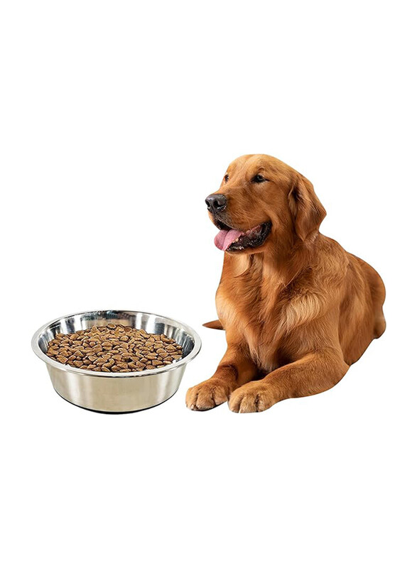 

Majibao 25cm Stainless Steel Pet Food Feeder Bowl for Cats & Dogs, Large, Silver