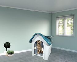 Dog House, Kennel, Indoor / Outdoor Pet House, Portable Dog Shelter, Durable Plastic Dog House, Beautiful design, Easy to Assemble, Grey + Blue-Green mix color cage, 75 cm height