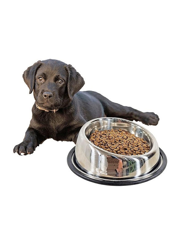 

Majibao 16cm Stainless Steel Round Shaped Sloppy Cut Food Bowl for Dogs, Silver